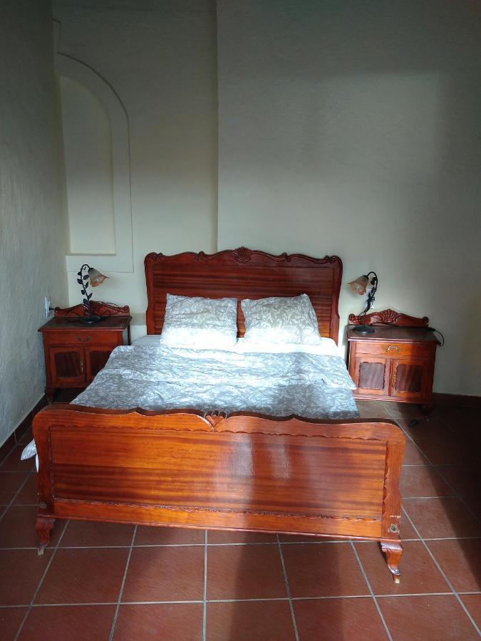 Palmeras Ingenio
