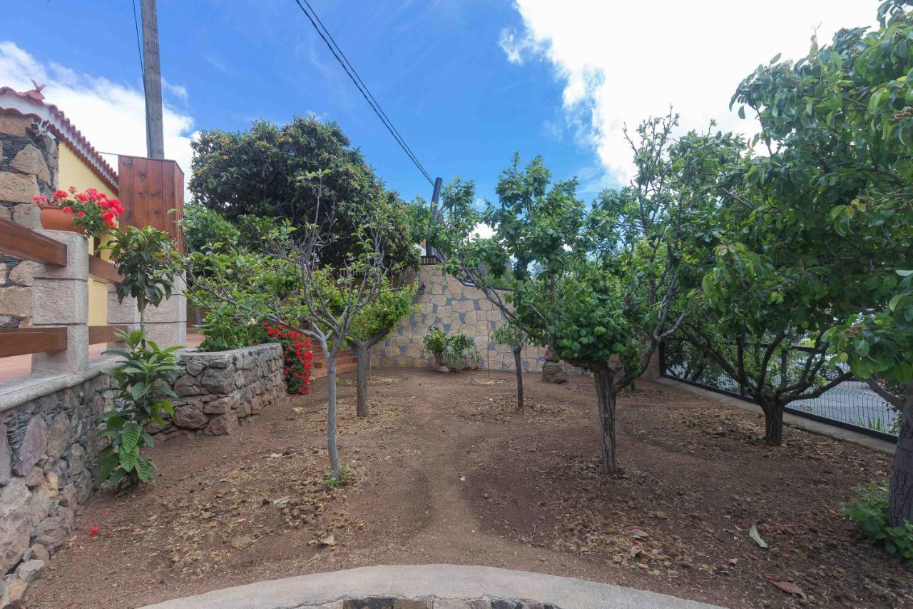 Ayacata San Bartolomé