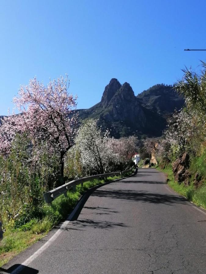 Rutas De Valsequillo de Gran Canaria