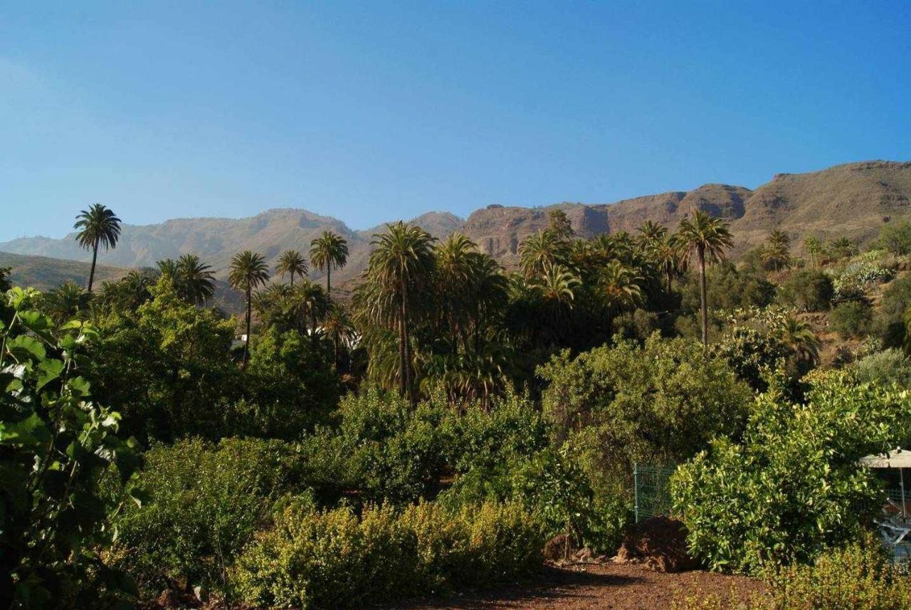 La Fuente De La Flora Casa rural