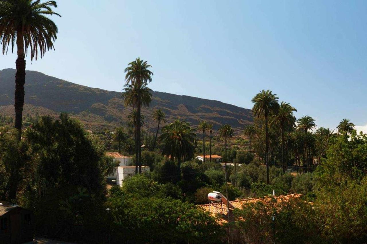 El Olivar La Almazara Santa Lucía