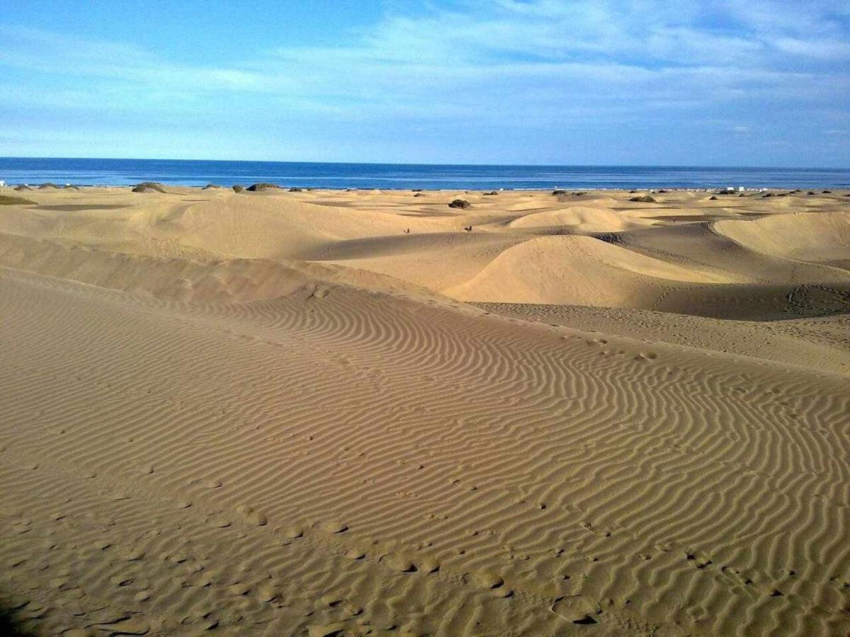Aloe Precioso Close To Yumbo Beaches Dunas * Playa del Ingles (Gran Canaria)