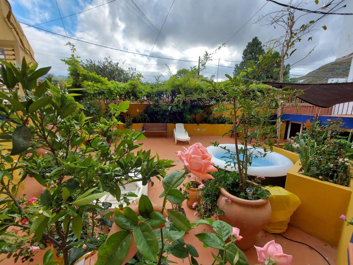 Casa Maestro Lelo – Acogedora Canaria Con Patios Y Jardines De Flores