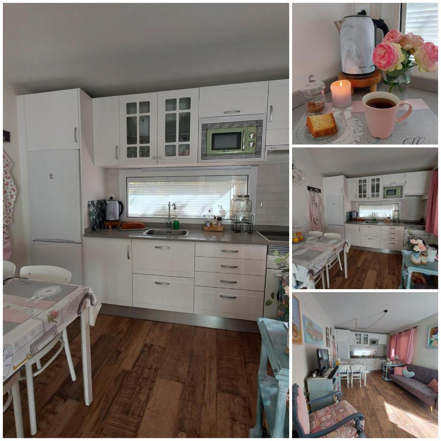 Casa Maestro Lelo – Acogedora Canaria Con Patios Y Jardines De Flores Сasa de vacaciones