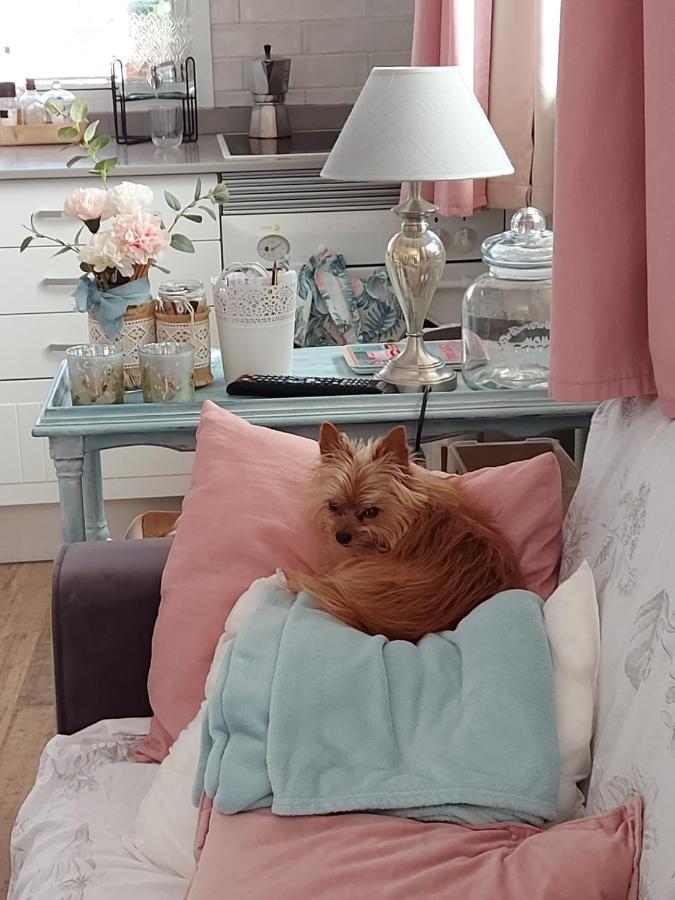 Сasa de vacaciones Casa Maestro Lelo – Acogedora Canaria Con Patios Y Jardines De Flores