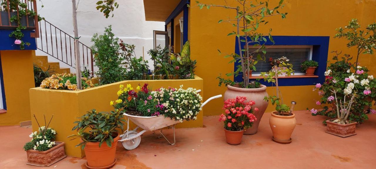 Casa Maestro Lelo – Acogedora Canaria Con Patios Y Jardines De Flores Сasa de vacaciones *