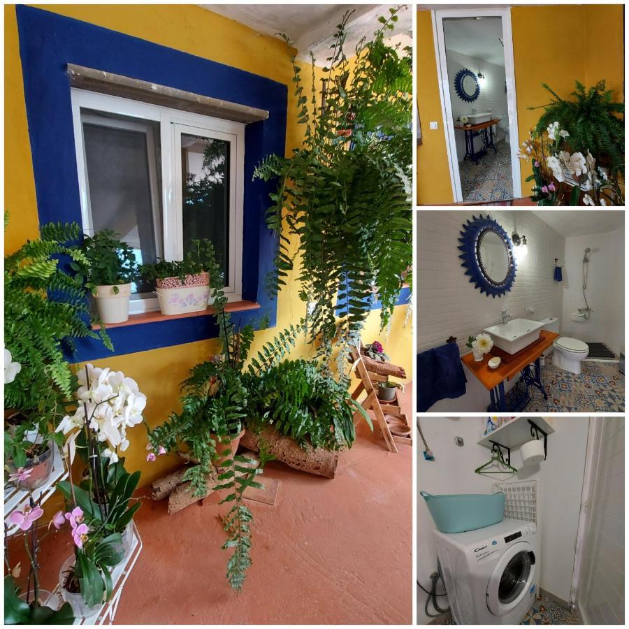 Сasa de vacaciones Casa Maestro Lelo – Acogedora Canaria Con Patios Y Jardines De Flores Las Palmas de Gran Canaria