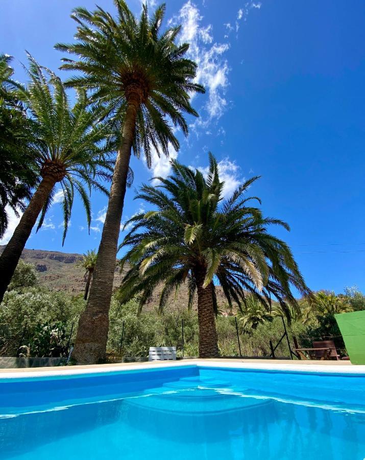 Holiday home Palmeras Temisas