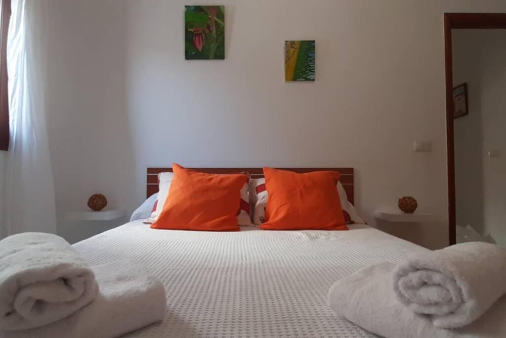 Nudos, Acogedor Apartamento Con Patio Privado.