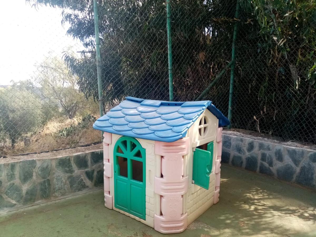 Сasa de vacaciones La Palmera - Santa Brígida, 3 *