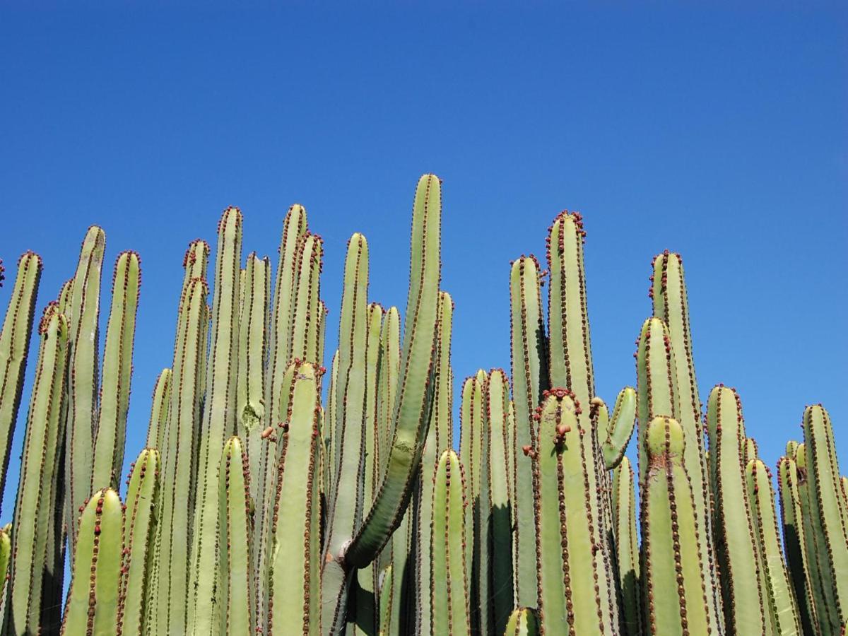 Eagle 8 By Villagrancanaria *