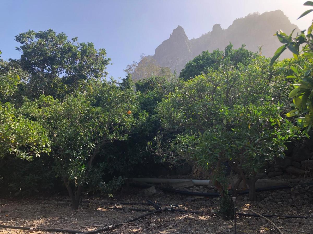 Casa Camino Tamadaba Appartamento Agaete (Gran Canaria)