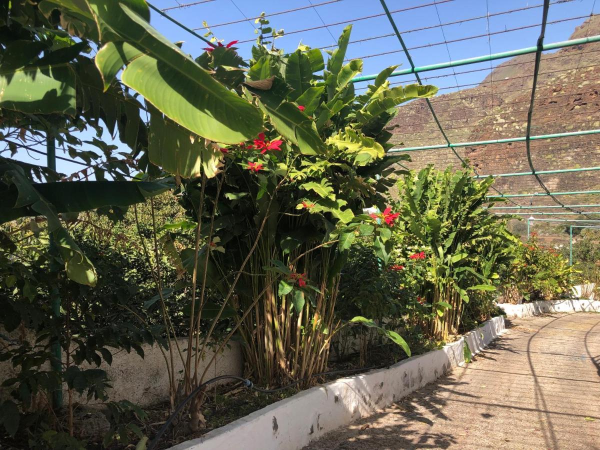 Appartamento Casa Camino Tamadaba Agaete (Gran Canaria)