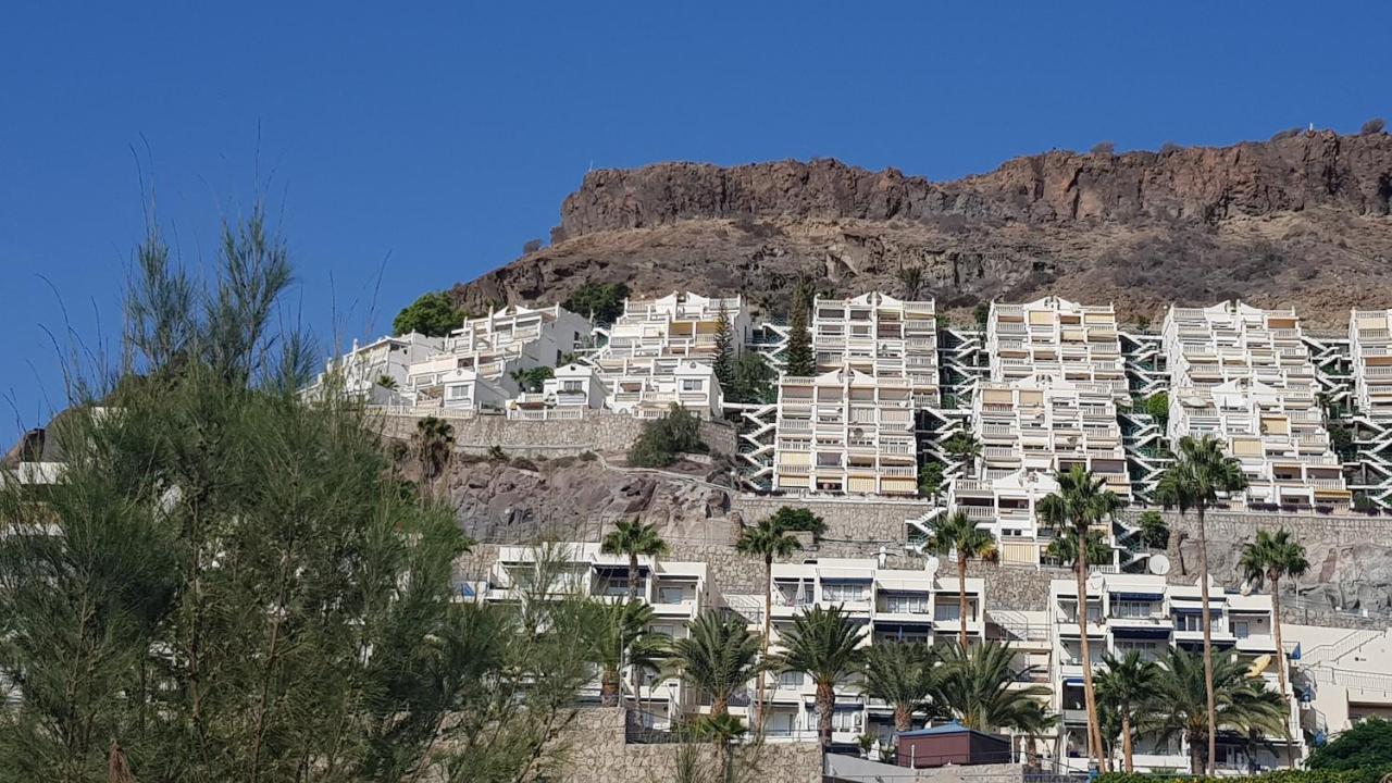 Cozy Ocean View, Playa Del Cura Appartamento *