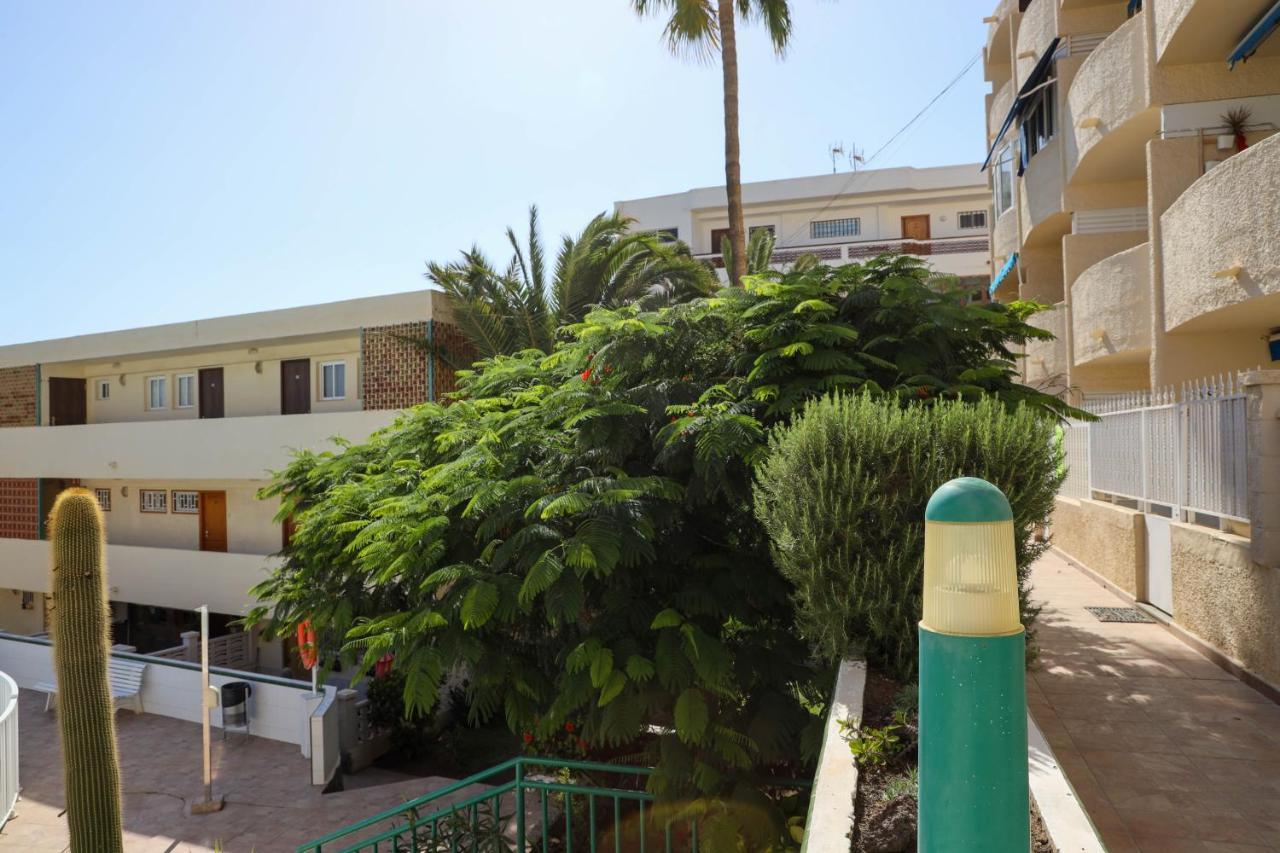 Nera * San Agustín