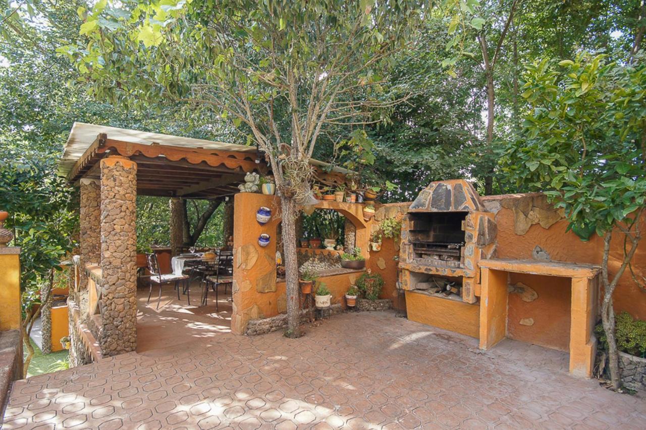 Matos Pool And Garden * Valleseco