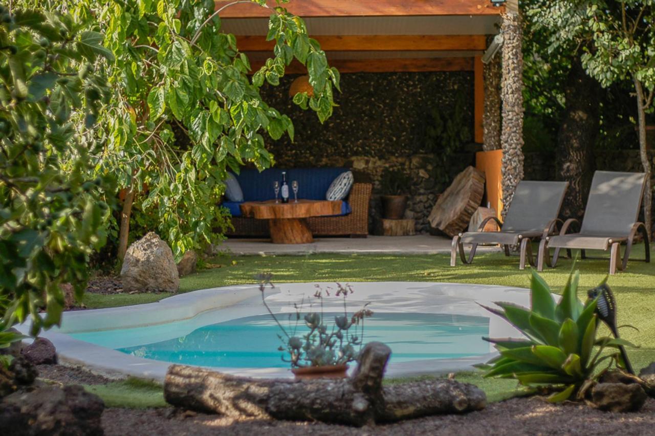 Matos Pool And Garden *