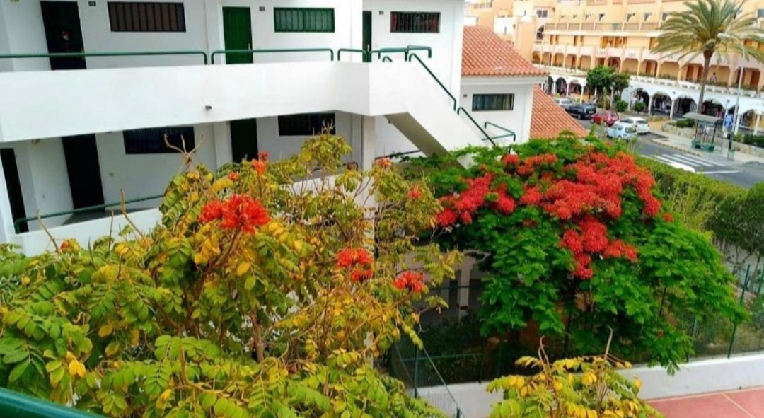 Apartment Luxury Sonnenland Maspalomas (Gran Canaria)