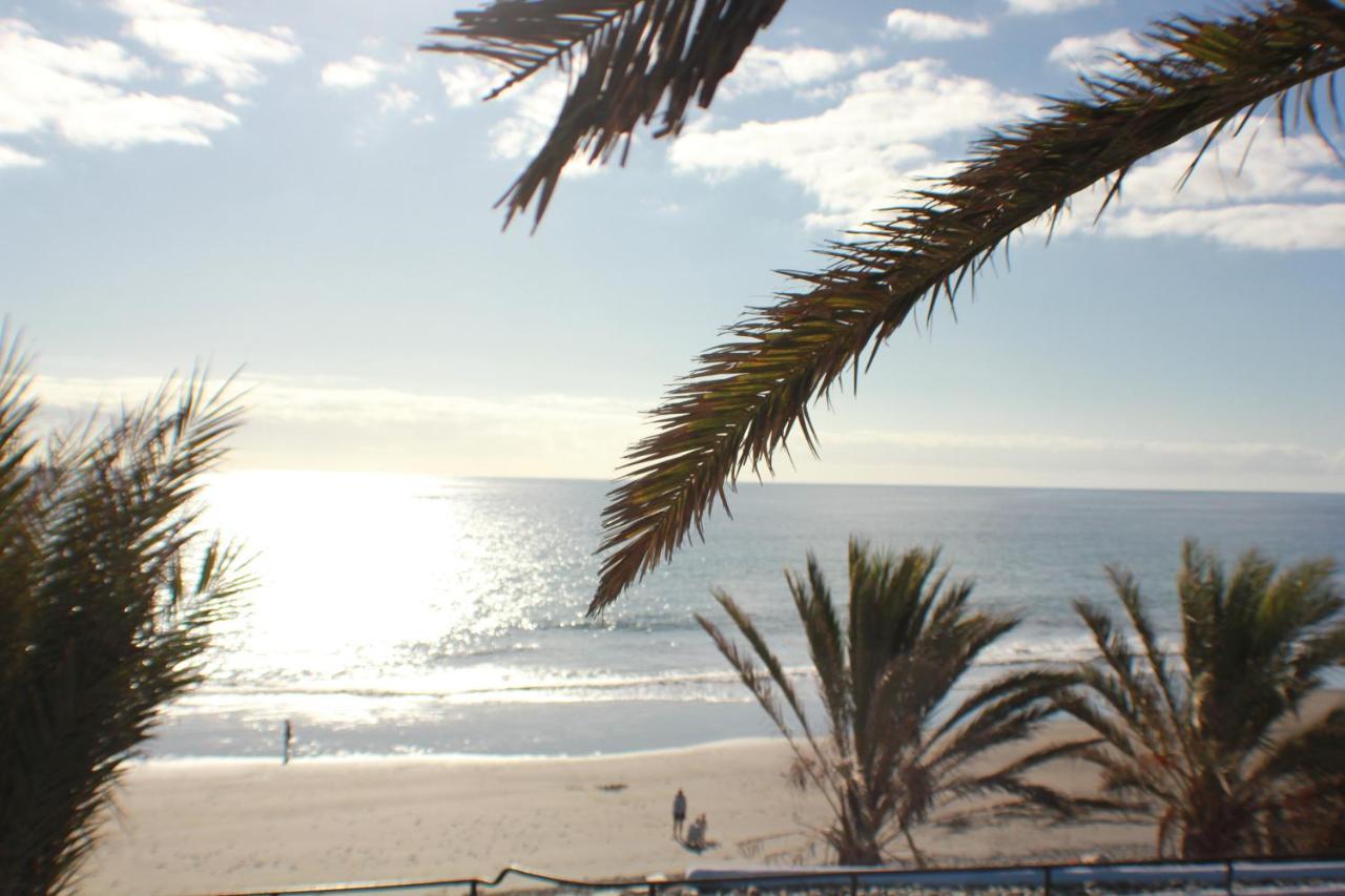 Frente Al Mar - Sun Club Playa Del Aguila Apartamento *