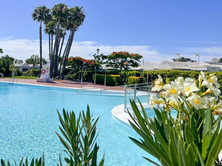 Apartamento Cozy & Modern W/private Garden Bbq+wifi Maspalomas (Gran Canaria)