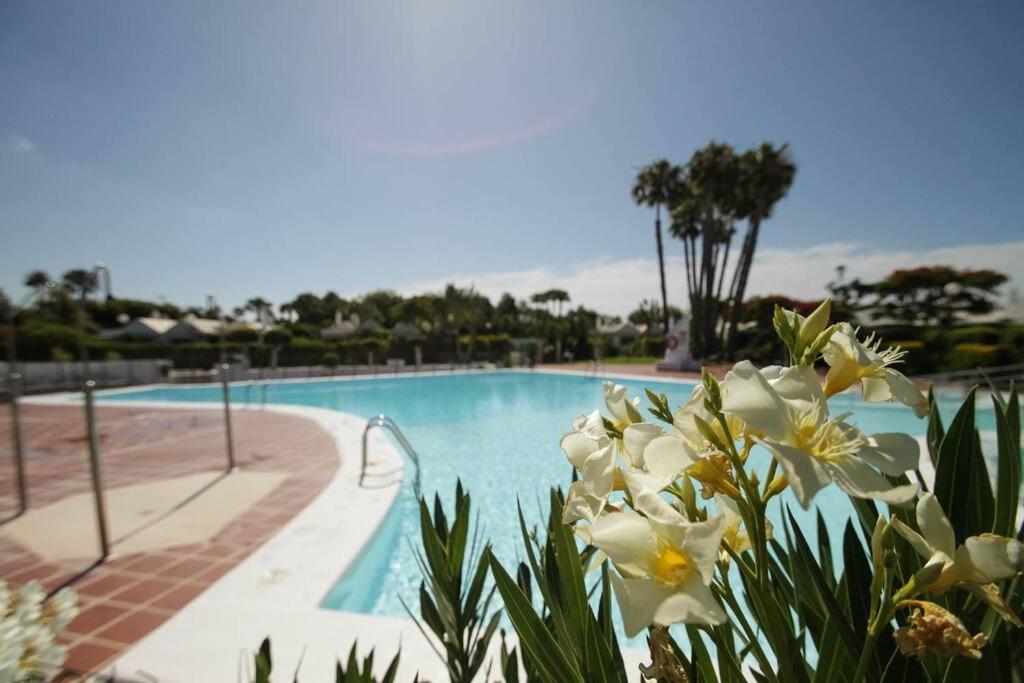 Cozy & Modern W/private Garden Bbq+wifi Apartamento Maspalomas (Gran Canaria)