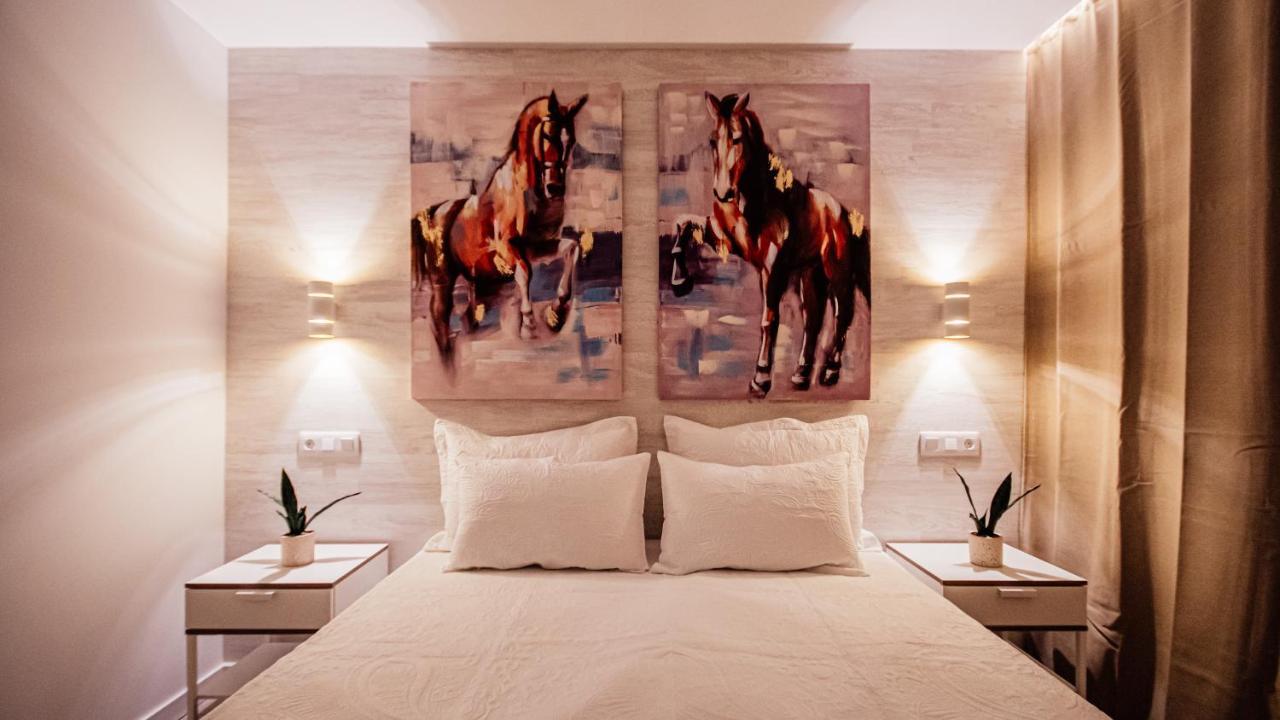 Don Quijote Apartamento San Bartolomé