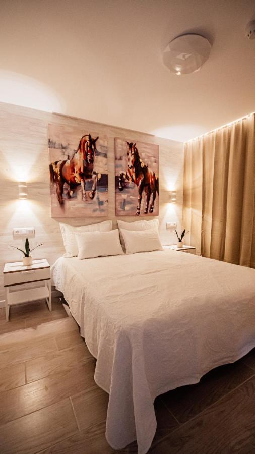Apartamento Don Quijote *