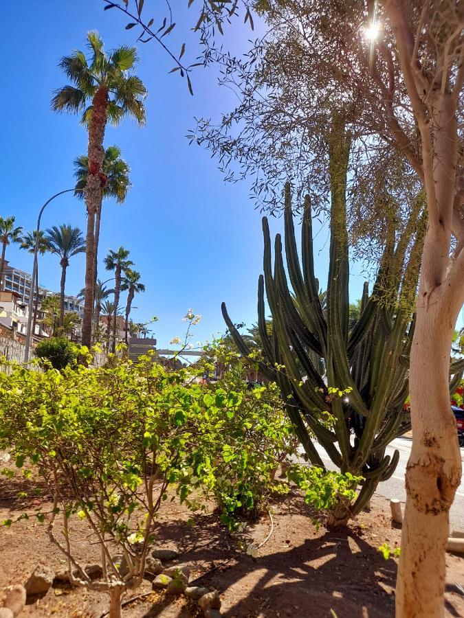 Vista Bella - Planta Baja Al Lado De La Piscina - Ground Floor By The Pool Appartamento *