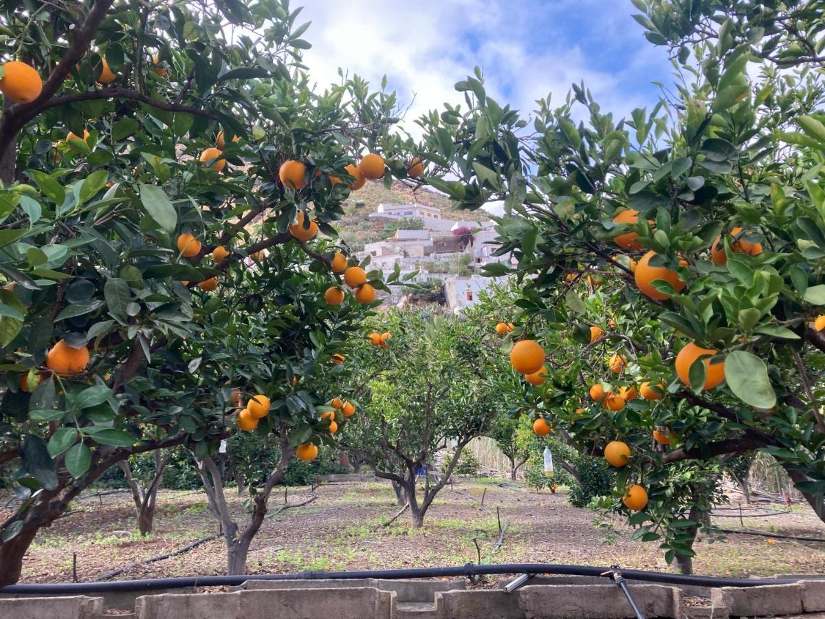 Appartamento Casa Camino Tamadaba Ii Agaete (Gran Canaria)