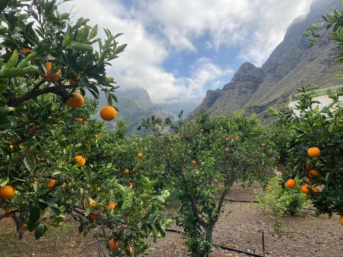Appartamento Casa Camino Tamadaba Ii Agaete (Gran Canaria)