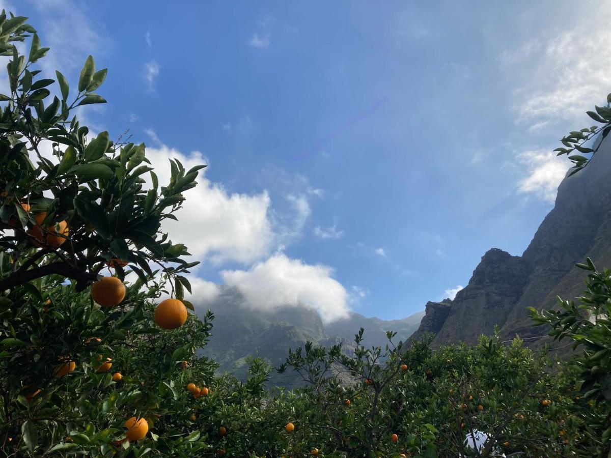 Appartamento Casa Camino Tamadaba Ii Agaete (Gran Canaria)