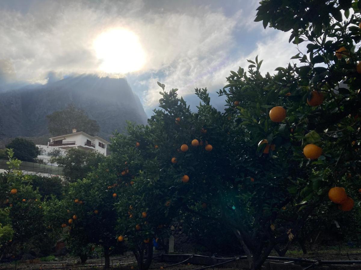 Appartamento Casa Camino Tamadaba Ii Agaete (Gran Canaria)