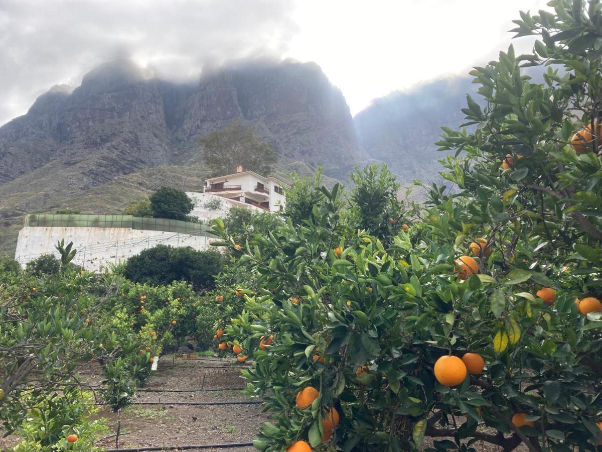 Appartamento Casa Camino Tamadaba Ii Agaete (Gran Canaria)