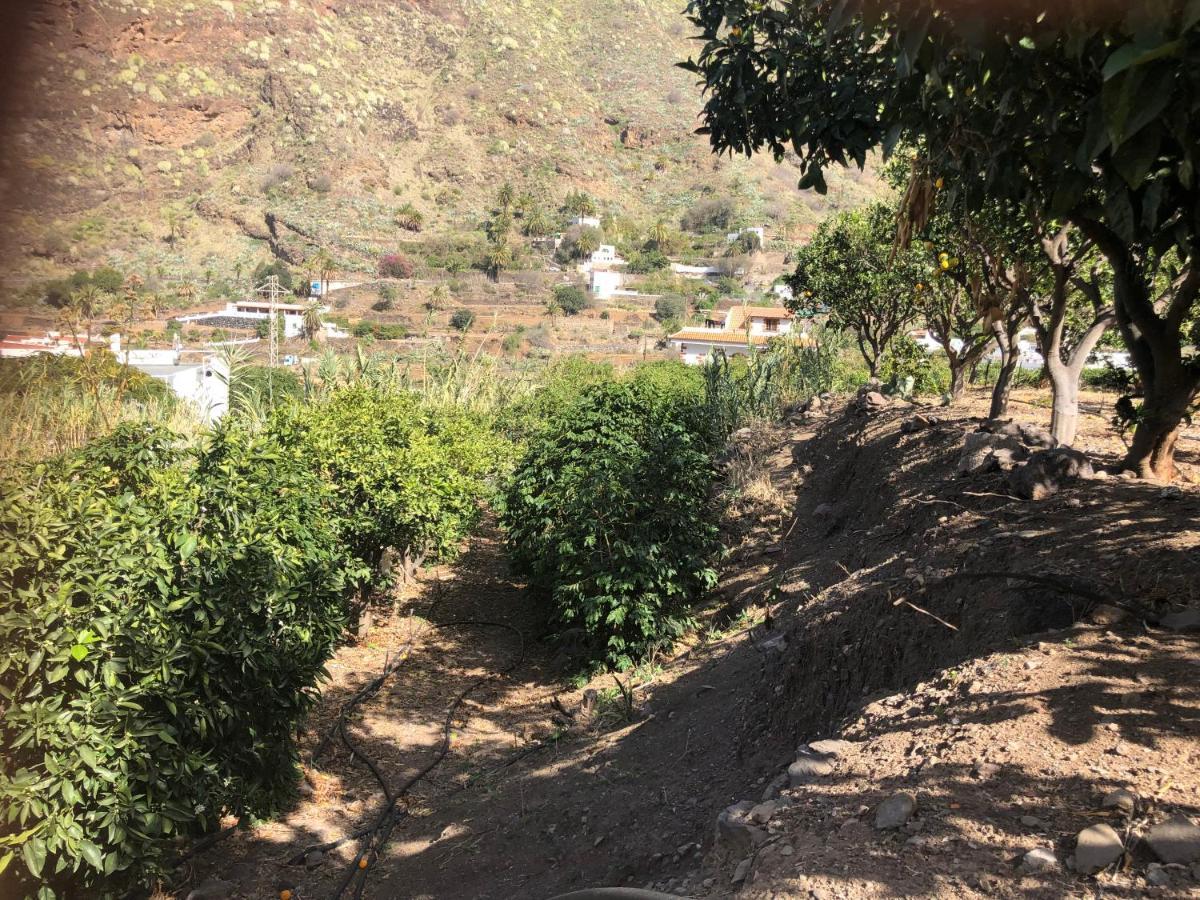 Casa Camino Tamadaba Ii