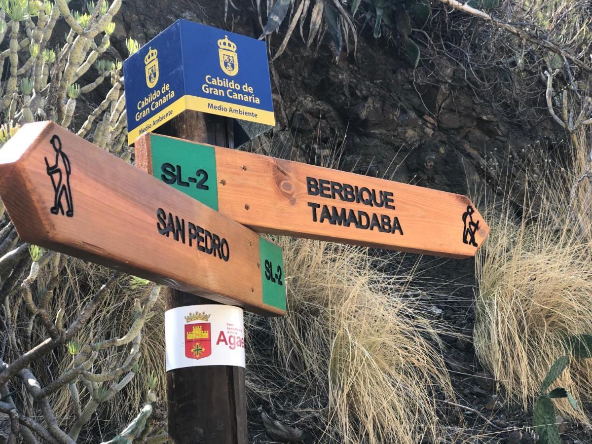 Casa Camino Tamadaba Ii