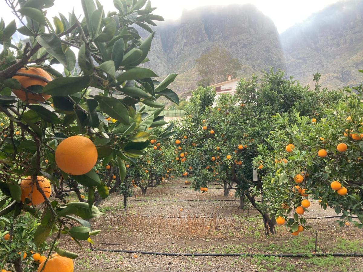 Appartamento Casa Camino Tamadaba Ii
