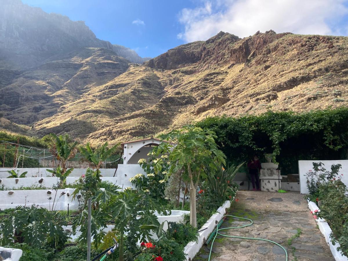 Casa Camino Tamadaba Ii * Agaete (Gran Canaria)