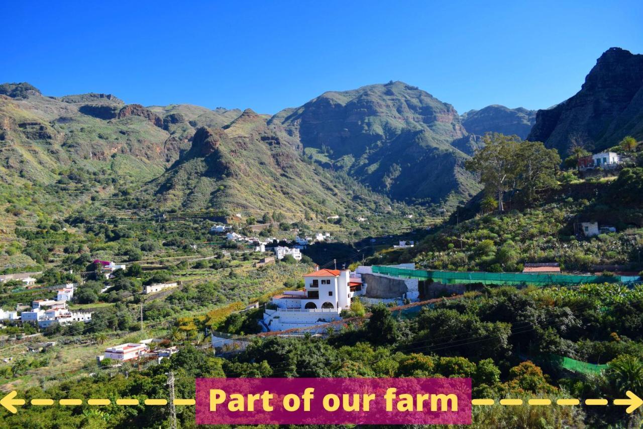 Appartamento Casa Camino Tamadaba Ii Agaete (Gran Canaria)