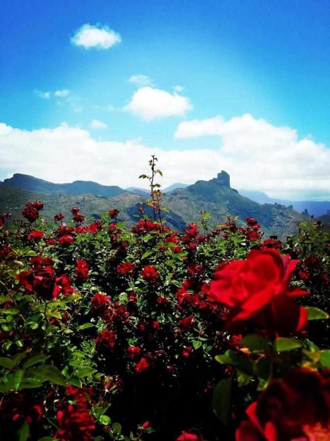 El Rincon Del Nublo Country house