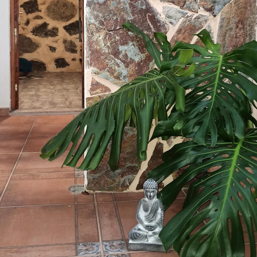 Casa Ada Сasa de vacaciones *