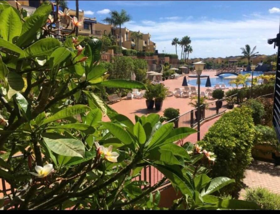 Apartment En Meloneras Maspalomas (Gran Canaria)