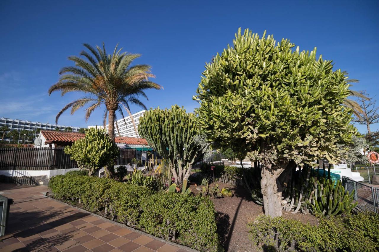 Sunset Apartment San Bartolome de Tirajana (Gran Canaria)