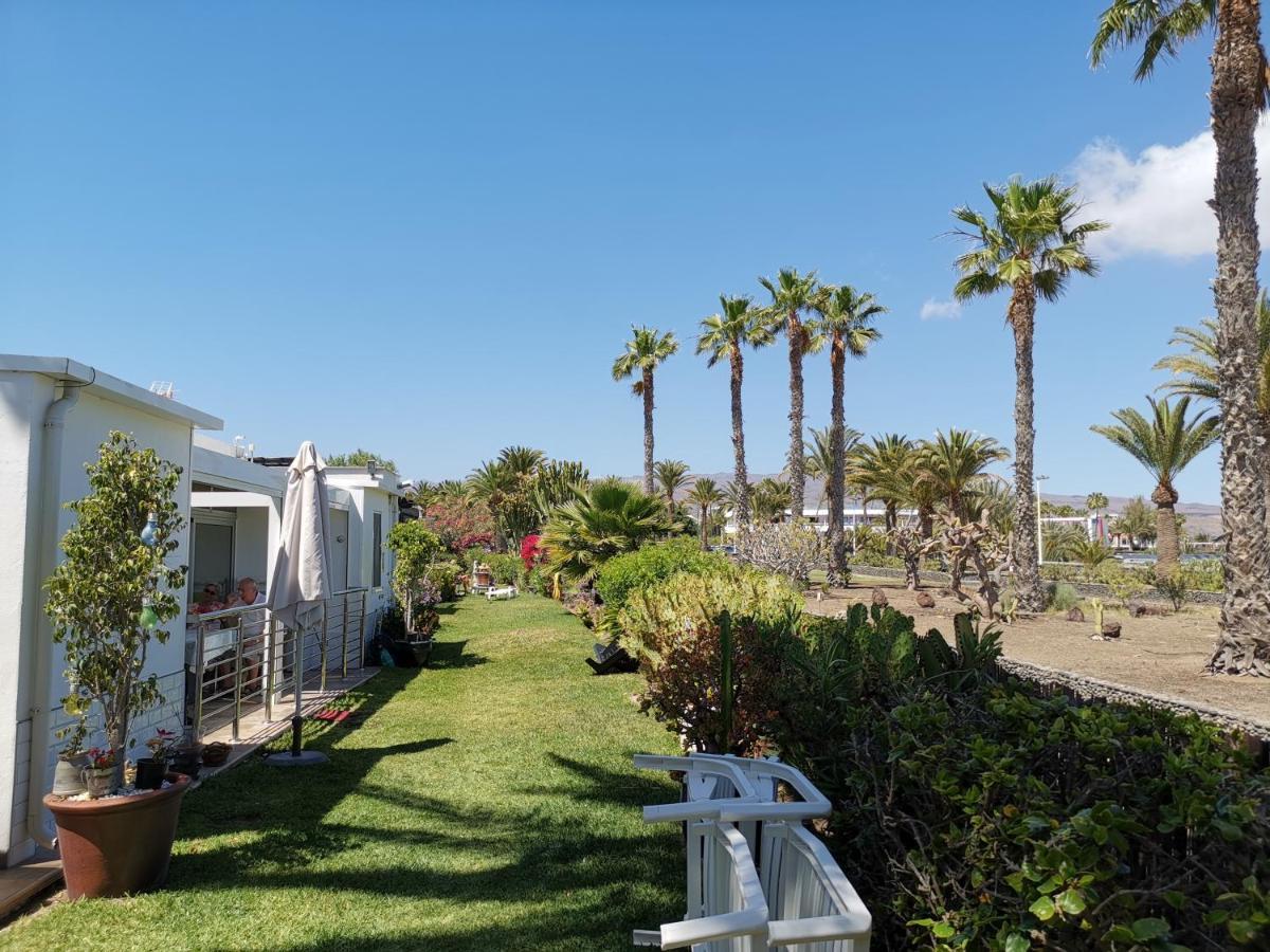 Seaside * Maspalomas (Gran Canaria)