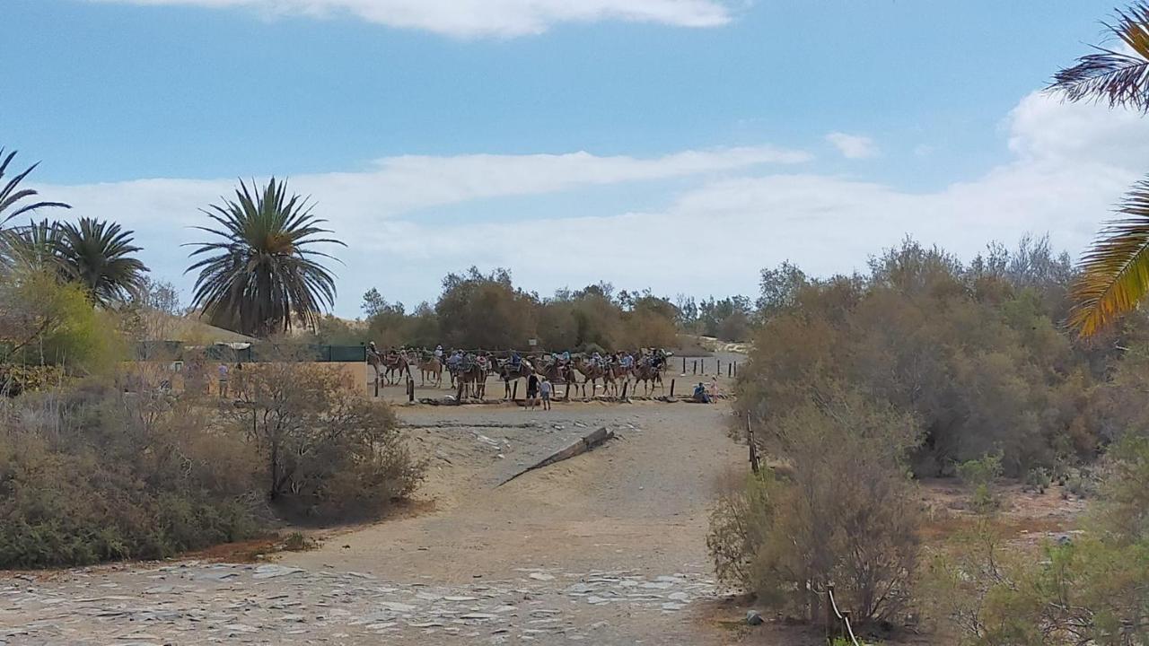 Doranda Maspalomas * Maspalomas (Gran Canaria)