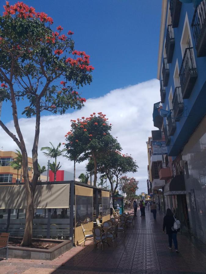 Cosy & * Vecindario (Gran Canaria)