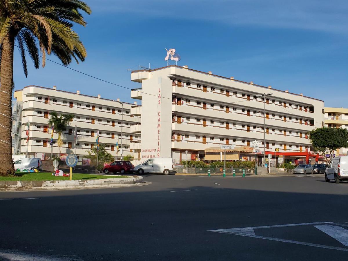 Vivienda Vacacional-las Camelias #e05 Apartamento
