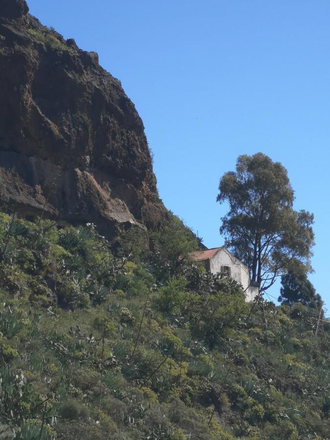 Affittacamere Zen Y Cueva Refugio Tenteniguada