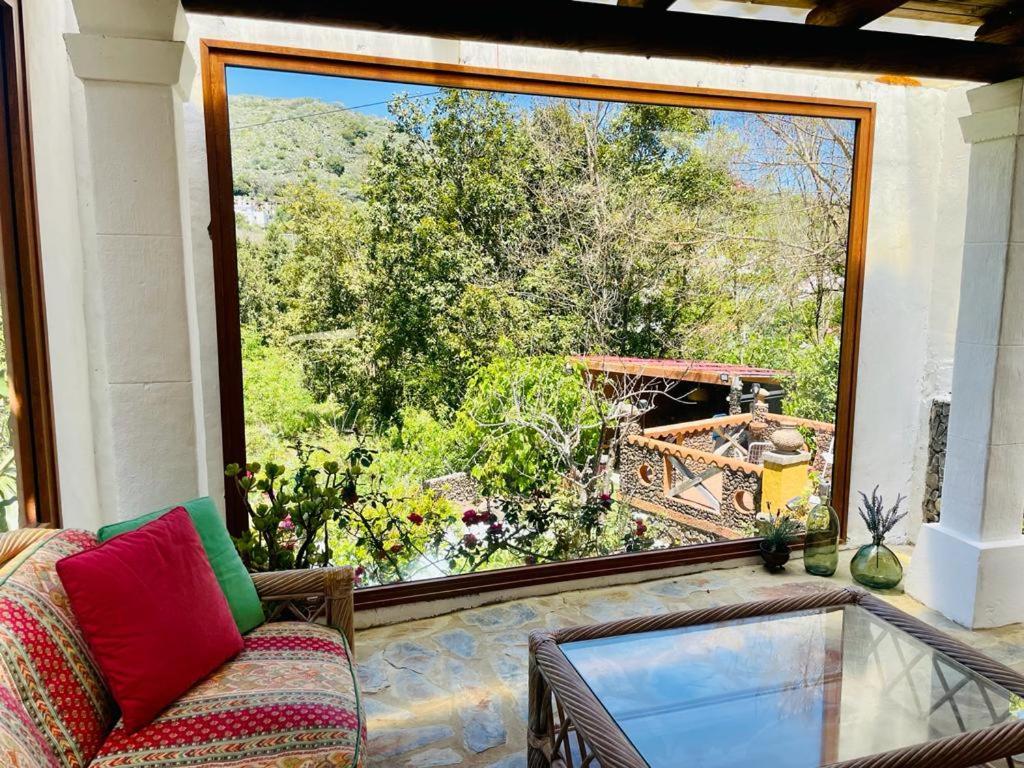 Matos Pool And Garden * Valleseco