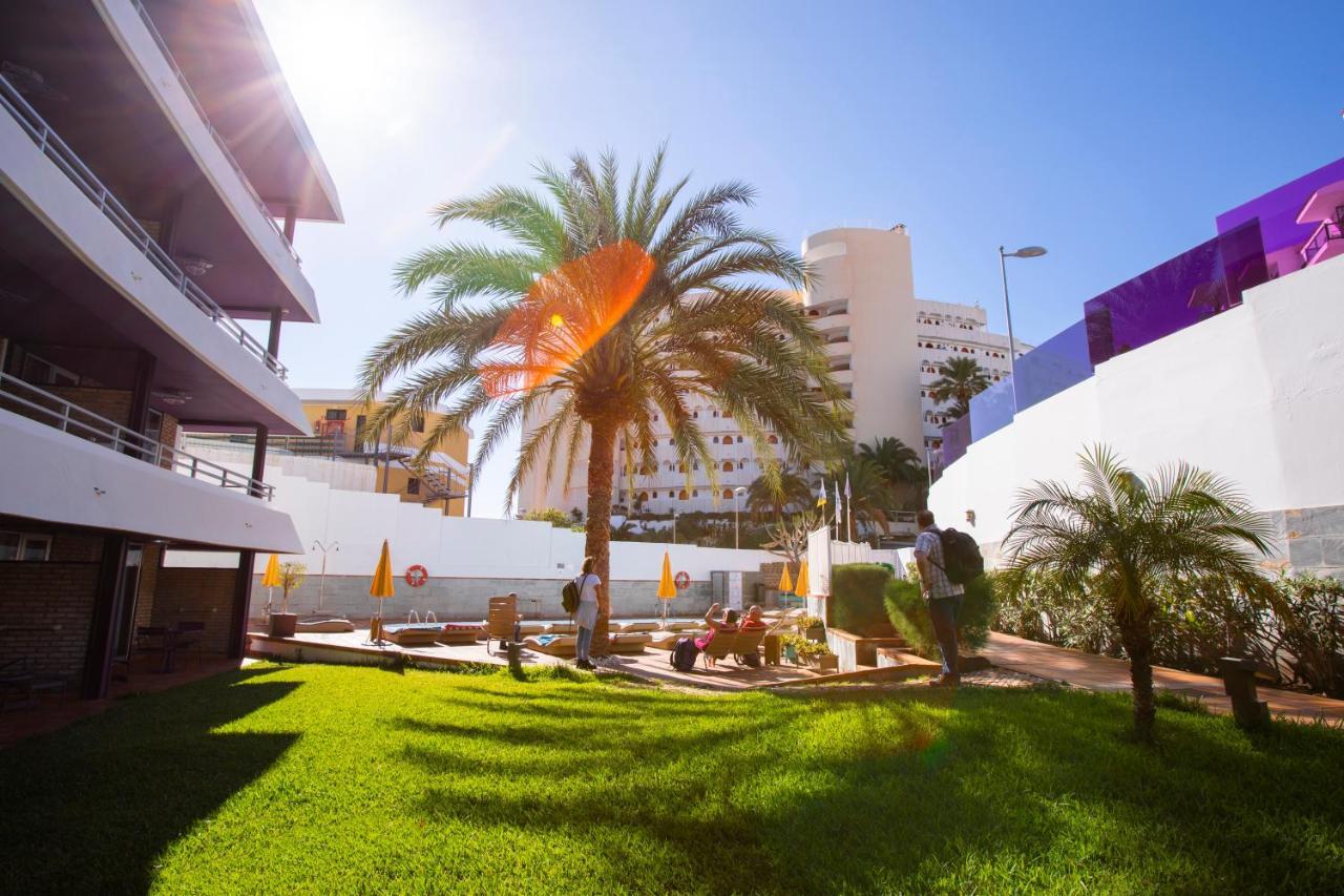 Jacarandas * Playa del Inglés