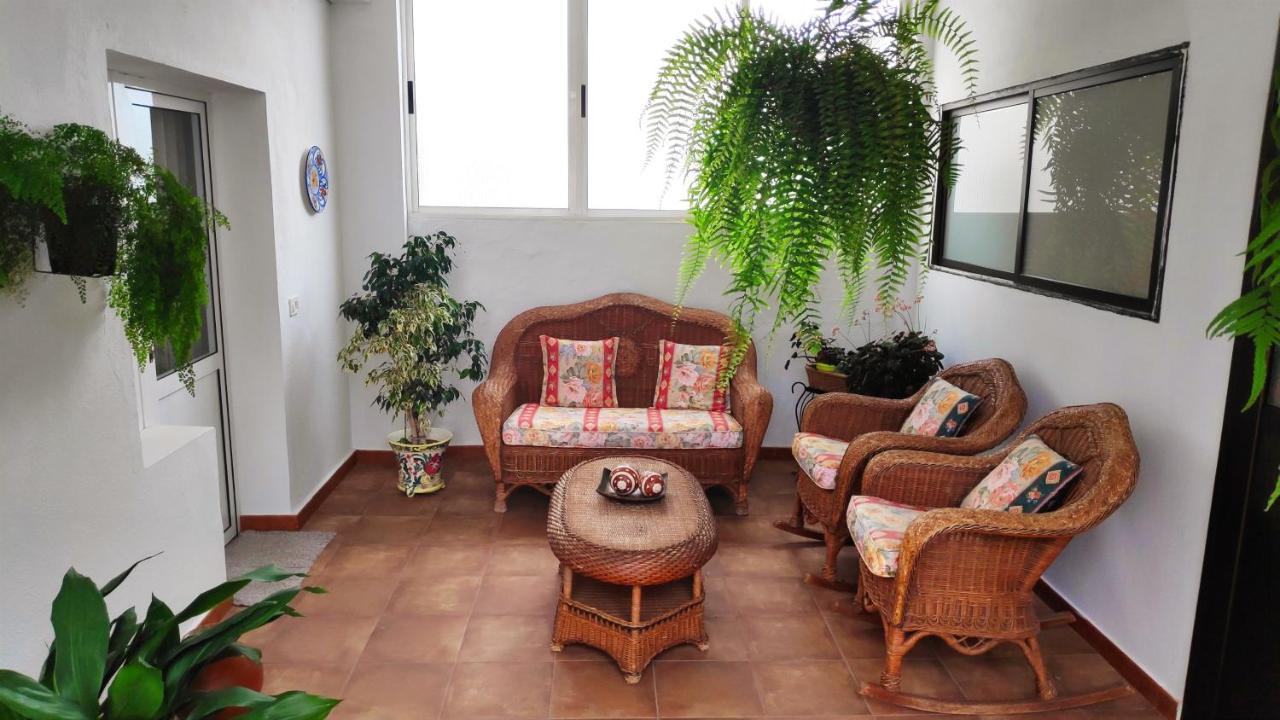 La Orquídea Vega de San Mateo